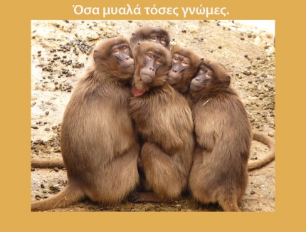 Греческие пословицы и поговорки в картинках Греческие пословицы и поговорки в картинках