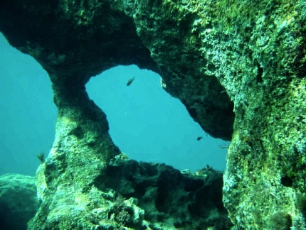 Место для дайвинга Морские пещеры
