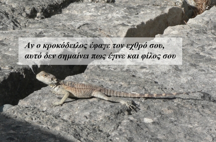 Если крокодил съел твоего врага, это не значит, что он стал твоим другом. Если крокодил съел твоего врага, это не значит, что он стал твоим другом.