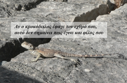 Если крокодил съел твоего врага, это не значит, что он стал твоим другом.