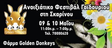 Второй кипрский фестиваль осликов